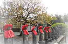 林泉庵（中野）