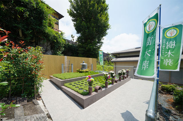 樹木葬供養墓