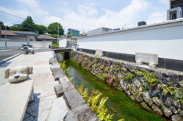 わき水