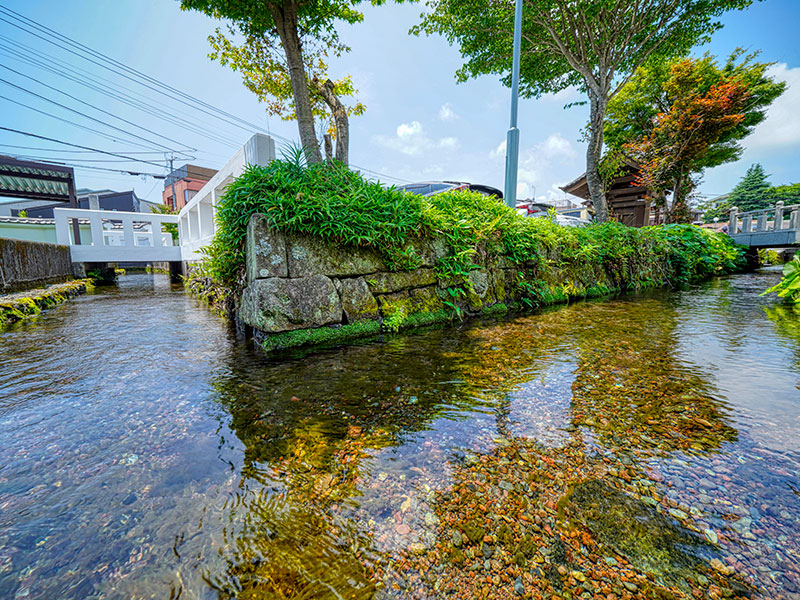 わき水